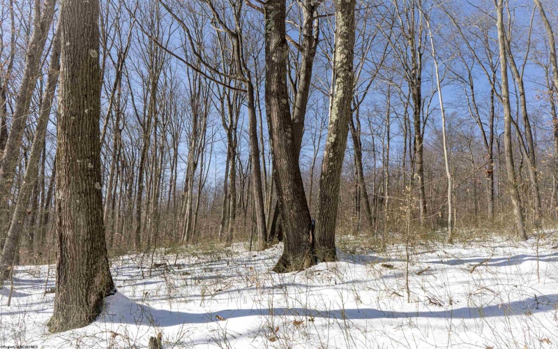 Lot 1 Cales Road, Masontown, West Virginia 26542, ,Lots/land,For Sale,Cales,10163308