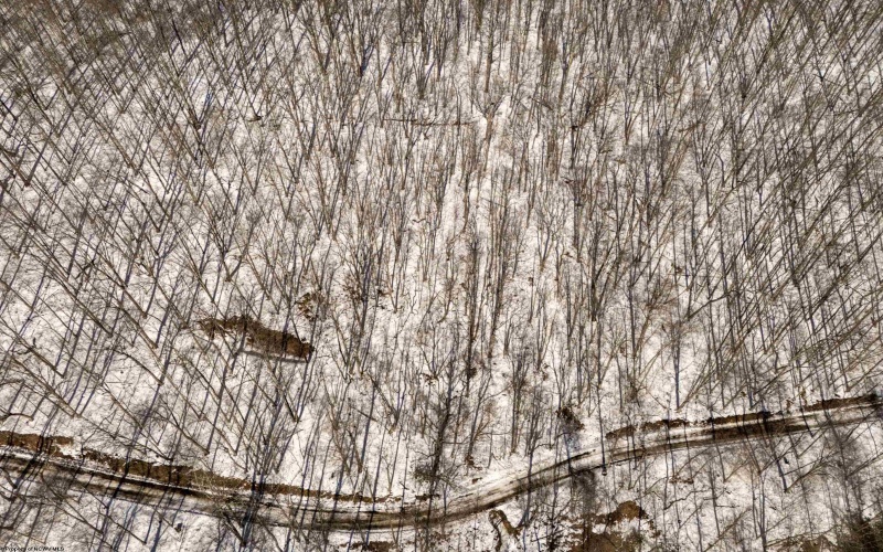 Lot 1 Cales Road, Masontown, West Virginia 26542, ,Lots/land,For Sale,Cales,10163308