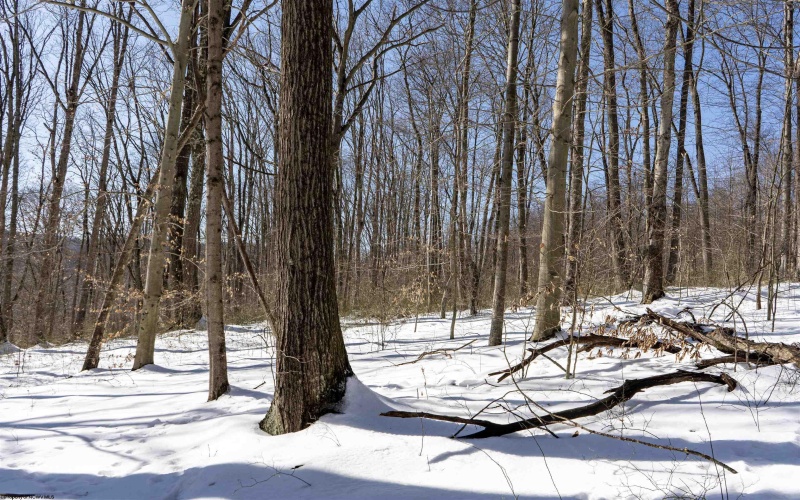 Lot 1 Cales Road, Masontown, West Virginia 26542, ,Lots/land,For Sale,Cales,10163308