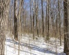Lot 1 Cales Road, Masontown, West Virginia 26542, ,Lots/land,For Sale,Cales,10163308