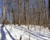 Lot 1 Cales Road, Masontown, West Virginia 26542, ,Lots/land,For Sale,Cales,10163308