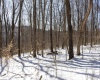 Lot 1 Cales Road, Masontown, West Virginia 26542, ,Lots/land,For Sale,Cales,10163308