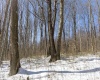 Lot 1 Cales Road, Masontown, West Virginia 26542, ,Lots/land,For Sale,Cales,10163308