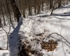 Lot 1 Cales Road, Masontown, West Virginia 26542, ,Lots/land,For Sale,Cales,10163308