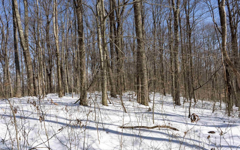 Lot 1 Cales Road, Masontown, West Virginia 26542, ,Lots/land,For Sale,Cales,10163308