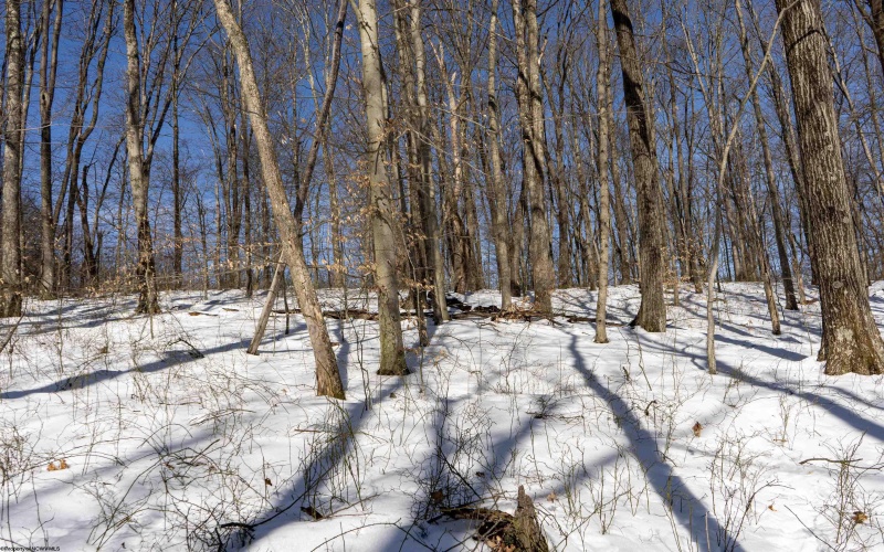 Lot 1 Cales Road, Masontown, West Virginia 26542, ,Lots/land,For Sale,Cales,10163308