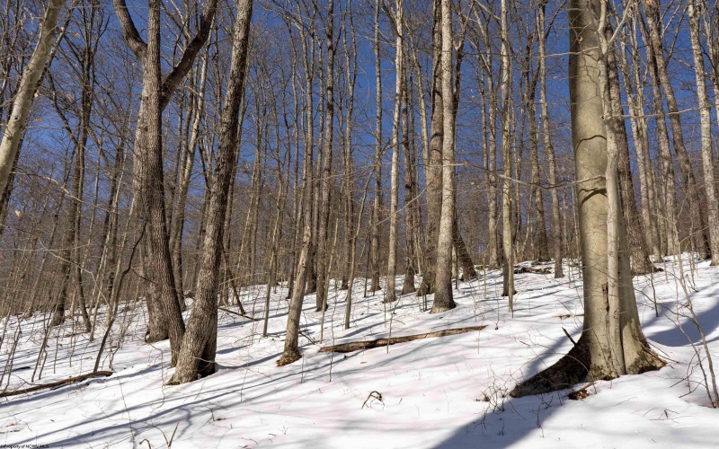 Lot 1 Cales Road, Masontown, West Virginia 26542, ,Lots/land,For Sale,Cales,10163308