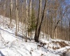 Lot 1 Cales Road, Masontown, West Virginia 26542, ,Lots/land,For Sale,Cales,10163308