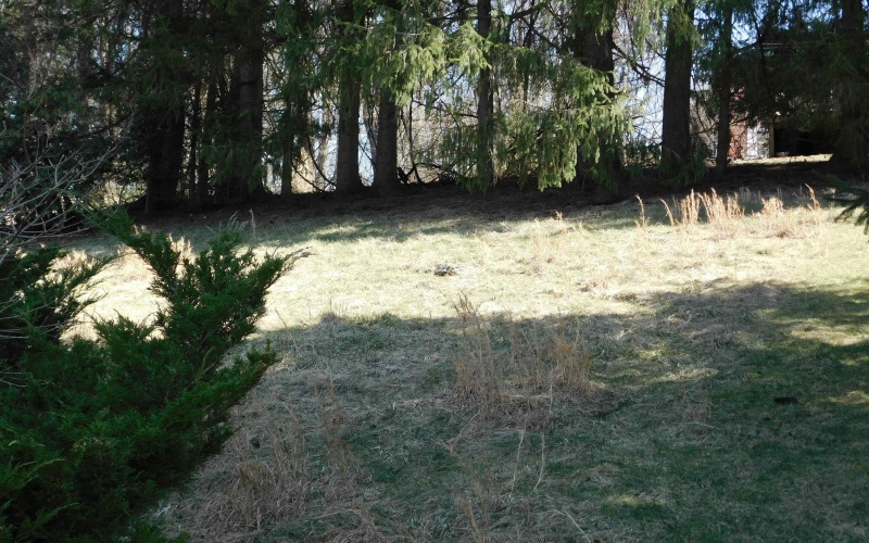 1126 Park Drive, Fairmont, West Virginia 26330, 2 Bedrooms Bedrooms, 5 Rooms Rooms,2 BathroomsBathrooms,Single Family Detached,For Sale,Park,10163307