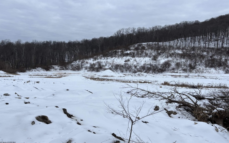 TBD Route 98 (RR), Nutter Fort, West Virginia 26301-4360, ,Lots/land,For Sale,Route 98,10163320