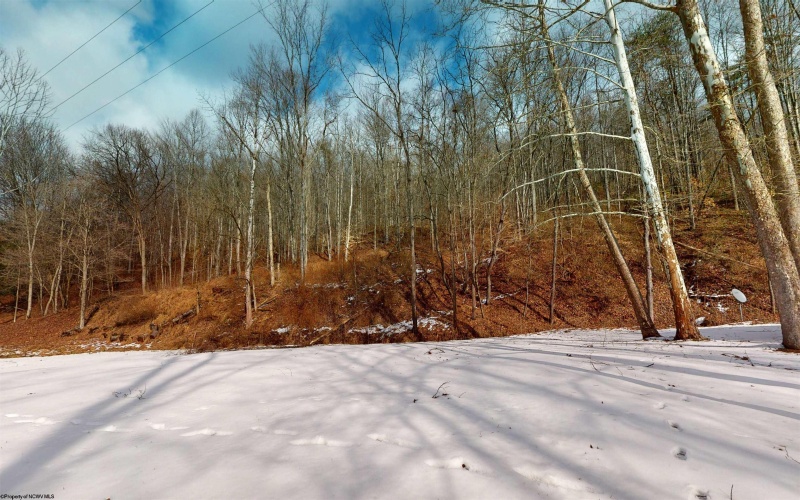 830 BEECH LICK Road, Horner, West Virginia 26372, 3 Bedrooms Bedrooms, 9 Rooms Rooms,2 BathroomsBathrooms,Single Family Detached,For Sale,BEECH LICK,10163335