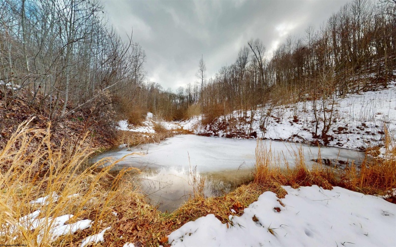 830 BEECH LICK Road, Horner, West Virginia 26372, 3 Bedrooms Bedrooms, 9 Rooms Rooms,2 BathroomsBathrooms,Single Family Detached,For Sale,BEECH LICK,10163335