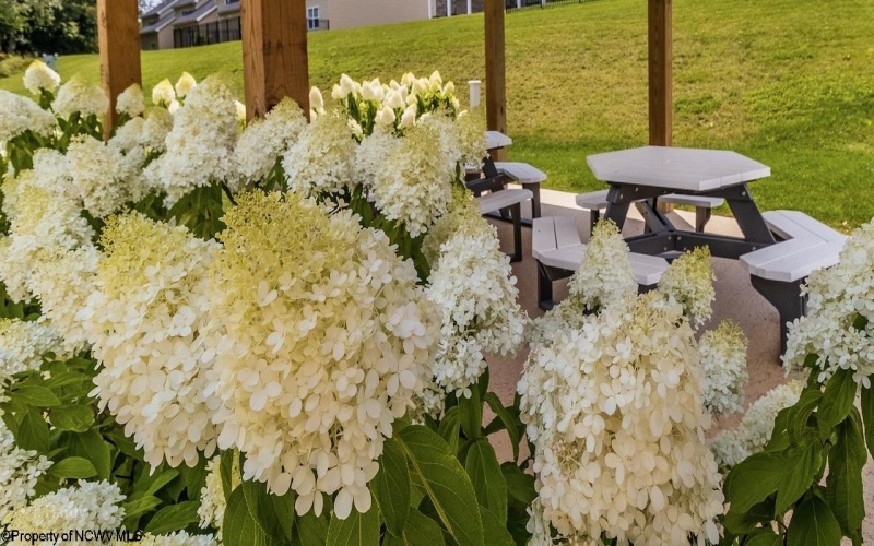 284 Red Oak Lane, Morgantown, West Virginia 26501, 3 Bedrooms Bedrooms, 7 Rooms Rooms,2 BathroomsBathrooms,Single Family Attached,For Sale,Red Oak,10163326