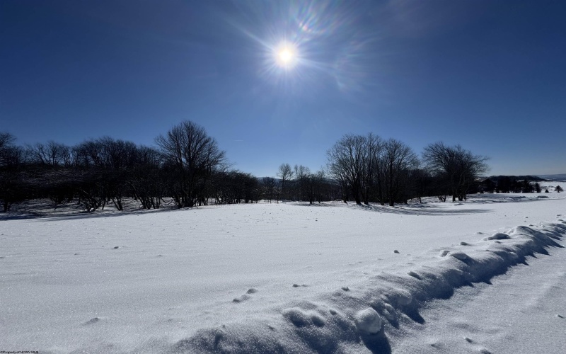 18 Pointy Knob Road, Davis, West Virginia 26260, ,Lots/land,For Sale,Pointy Knob,10163332