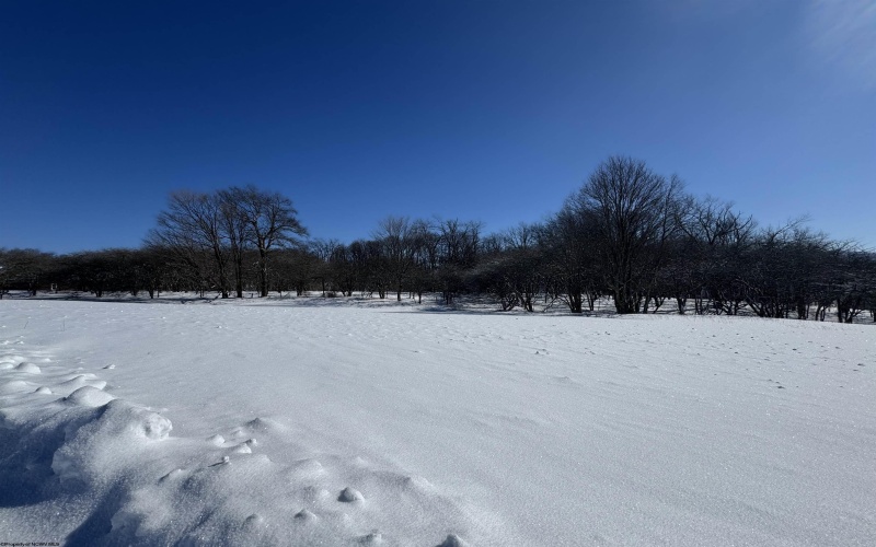 18 Pointy Knob Road, Davis, West Virginia 26260, ,Lots/land,For Sale,Pointy Knob,10163332