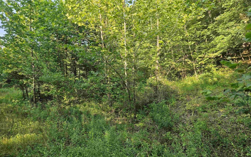 1 Westminster Drive, Morgantown, West Virginia 26505, ,Lots/land,For Sale,Westminster,10160999