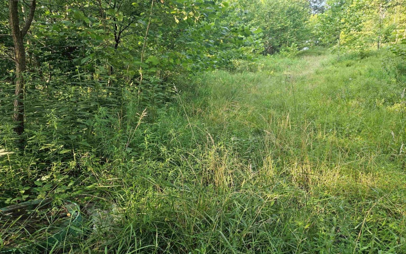 1 Westminster Drive, Morgantown, West Virginia 26505, ,Lots/land,For Sale,Westminster,10160999