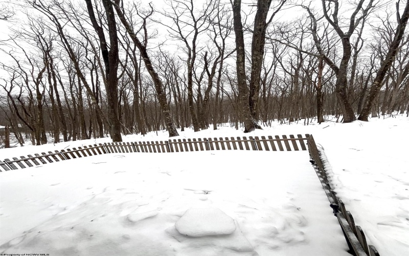 952 Rhododendron Drive, Terra Alta, West Virginia 26764, 2 Bedrooms Bedrooms, 7 Rooms Rooms,2 BathroomsBathrooms,Single Family Detached,For Sale,Rhododendron,10163343