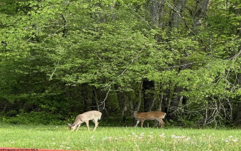 280 Deerfield Circle, Kingwood, West Virginia 26537, 4 Bedrooms Bedrooms, 12 Rooms Rooms,3 BathroomsBathrooms,Single Family Detached,For Sale,Deerfield,10163344