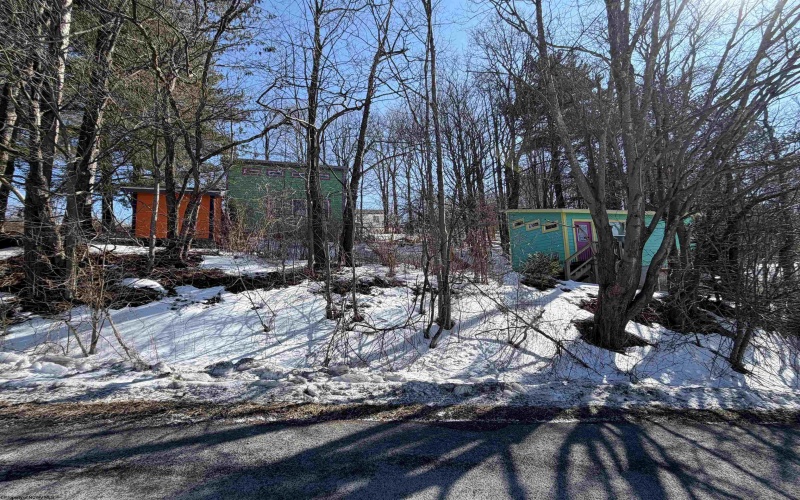 142 Jacob Pace Street, Thomas, West Virginia 26292, ,Multi-unit/income,For Sale,Jacob Pace,10163347