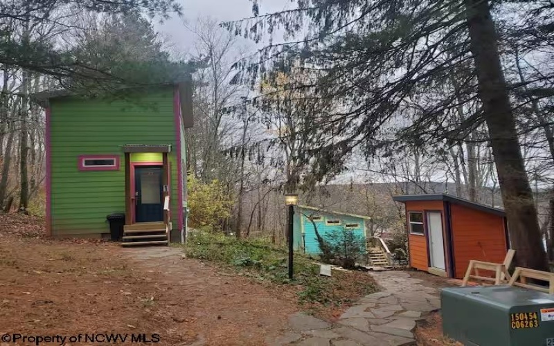 142 Jacob Pace Street, Thomas, West Virginia 26292, ,Multi-unit/income,For Sale,Jacob Pace,10163347