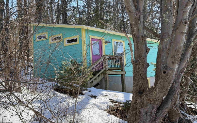 142 Jacob Pace Street, Thomas, West Virginia 26292, ,Multi-unit/income,For Sale,Jacob Pace,10163347