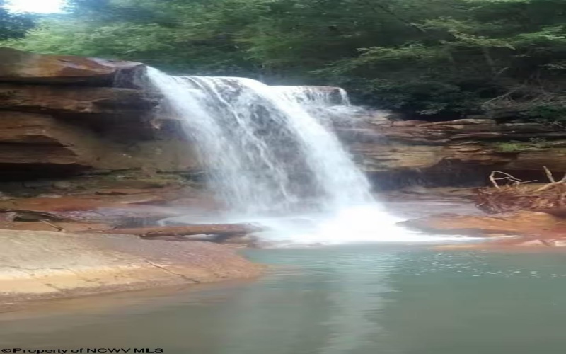 142 Jacob Pace Street, Thomas, West Virginia 26292, ,Multi-unit/income,For Sale,Jacob Pace,10163347