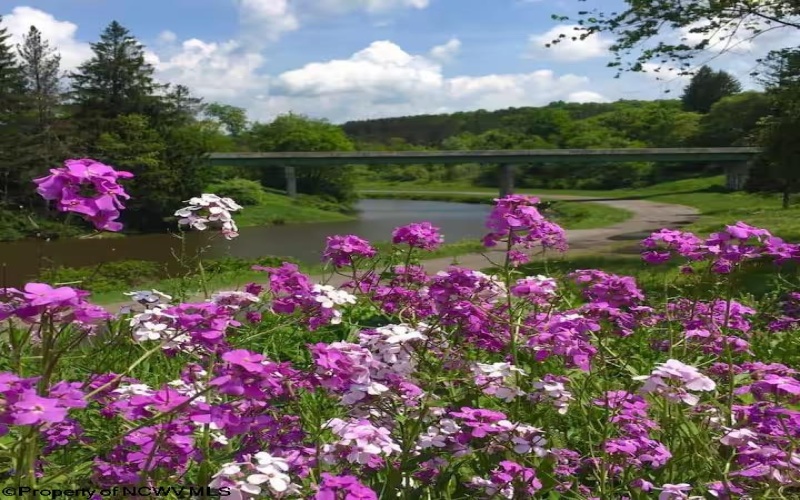 142 Jacob Pace Street, Thomas, West Virginia 26292, ,Multi-unit/income,For Sale,Jacob Pace,10163347