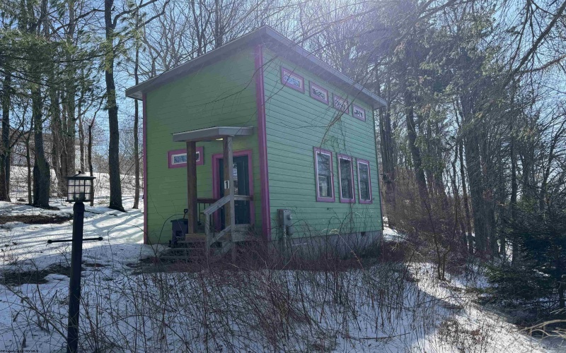 142 Jacob Pace Street, Thomas, West Virginia 26292, ,Multi-unit/income,For Sale,Jacob Pace,10163347