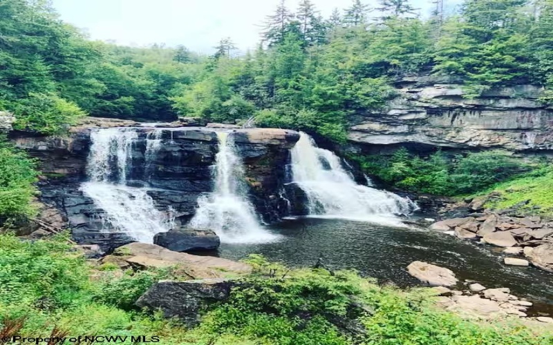 142 Jacob Pace Street, Thomas, West Virginia 26292, ,Multi-unit/income,For Sale,Jacob Pace,10163347