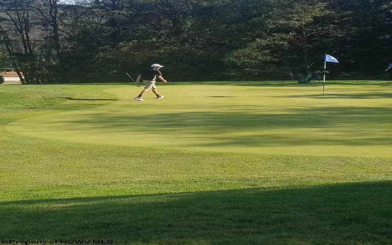 142 Jacob Pace Street, Thomas, West Virginia 26292, ,Multi-unit/income,For Sale,Jacob Pace,10163347