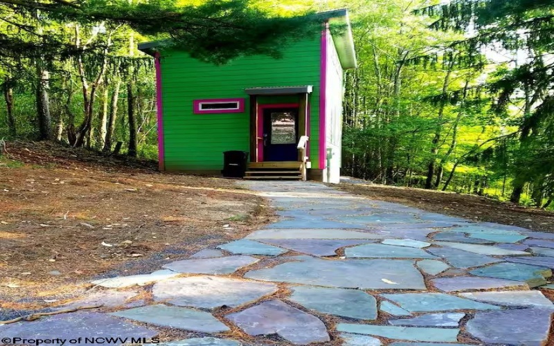 142 Jacob Pace Street, Thomas, West Virginia 26292, ,Multi-unit/income,For Sale,Jacob Pace,10163347