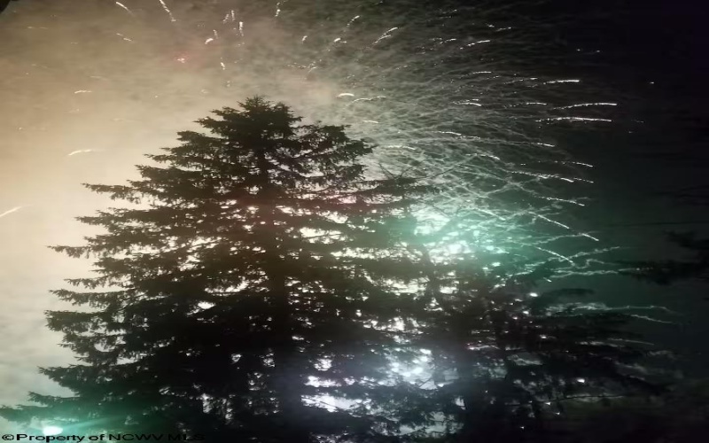 142 Jacob Pace Street, Thomas, West Virginia 26292, ,Multi-unit/income,For Sale,Jacob Pace,10163347