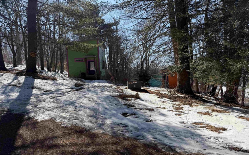 142 Jacob Pace Street, Thomas, West Virginia 26292, ,Multi-unit/income,For Sale,Jacob Pace,10163347