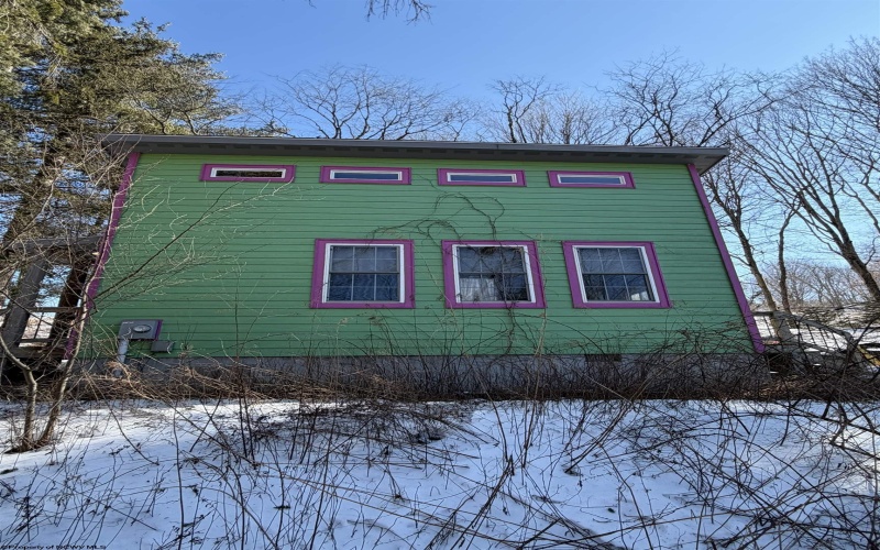 142 Jacob Pace Street, Thomas, West Virginia 26292, ,Multi-unit/income,For Sale,Jacob Pace,10163347