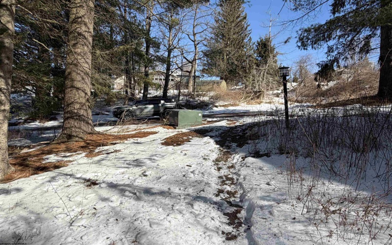 142 Jacob Pace Street, Thomas, West Virginia 26292, ,Multi-unit/income,For Sale,Jacob Pace,10163347