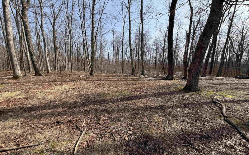 2122 Mt Nebo Road, Buckhannon, West Virginia 26201, 2 Bedrooms Bedrooms, 6 Rooms Rooms,1 BathroomBathrooms,Single Family Detached,For Sale,Mt Nebo,10163349