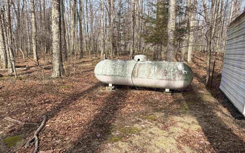 2122 Mt Nebo Road, Buckhannon, West Virginia 26201, 2 Bedrooms Bedrooms, 6 Rooms Rooms,1 BathroomBathrooms,Single Family Detached,For Sale,Mt Nebo,10163349