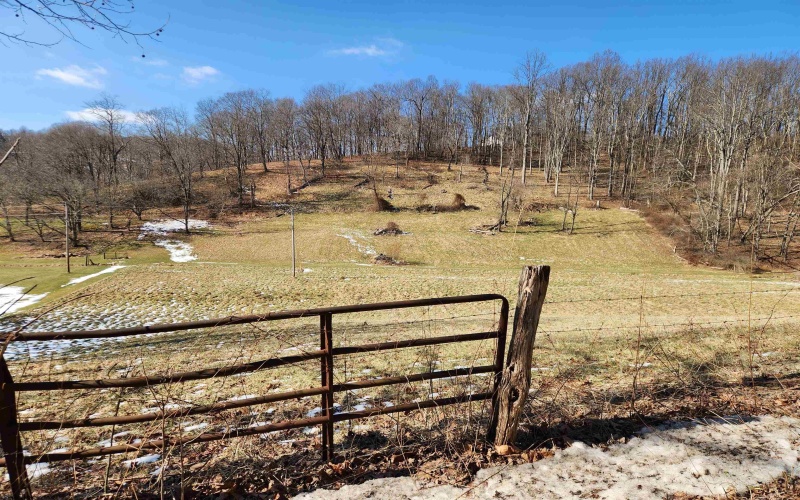 TBD Old Davidson Run, Clarksburg, West Virginia 26301, ,Lots/land,For Sale,Old Davidson,10163357 TBD Old Davidson Run, Clarksburg, West Virginia 26301, ,Lots/land,For Sale,Old Davidson,10163357
