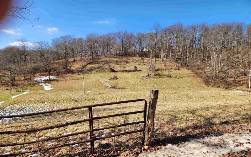 TBD Old Davidson Run, Clarksburg, West Virginia 26301, ,Lots/land,For Sale,Old Davidson,10163357 TBD Old Davidson Run, Clarksburg, West Virginia 26301, ,Lots/land,For Sale,Old Davidson,10163357