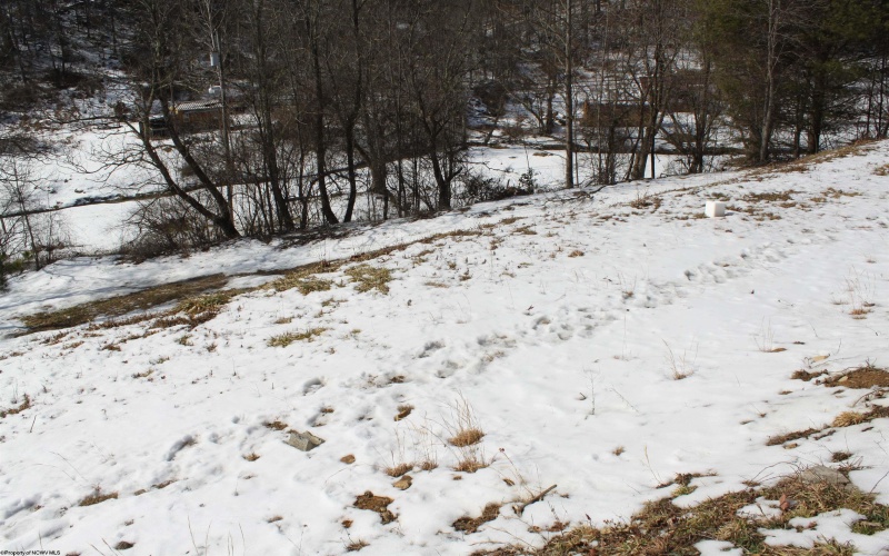 190 Coon Creek Road, Camden on Gauley, West Virginia 26208, ,Lots/land,For Sale,Coon Creek,10163365