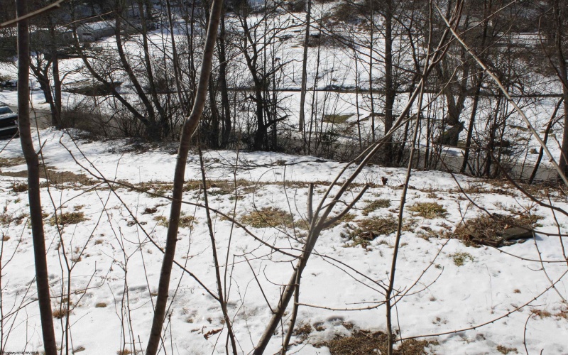 190 Coon Creek Road, Camden on Gauley, West Virginia 26208, ,Lots/land,For Sale,Coon Creek,10163365