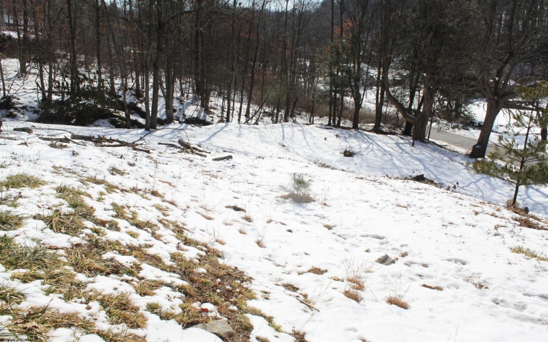 190 Coon Creek Road, Camden on Gauley, West Virginia 26208, ,Lots/land,For Sale,Coon Creek,10163365