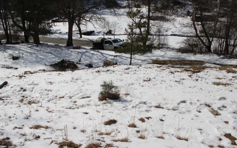 190 Coon Creek Road, Camden on Gauley, West Virginia 26208, ,Lots/land,For Sale,Coon Creek,10163365