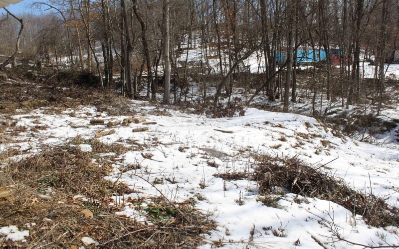 190 Coon Creek Road, Camden on Gauley, West Virginia 26208, ,Lots/land,For Sale,Coon Creek,10163365