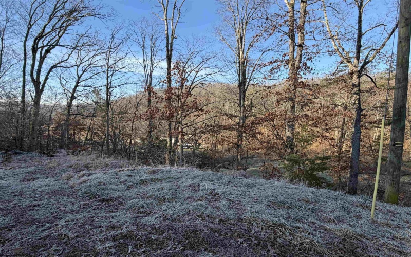 796 Bear Run Road, Cairo, West Virginia 26337, 3 Bedrooms Bedrooms, 7 Rooms Rooms,2 BathroomsBathrooms,Single Family Detached,For Sale,Bear Run,10163375