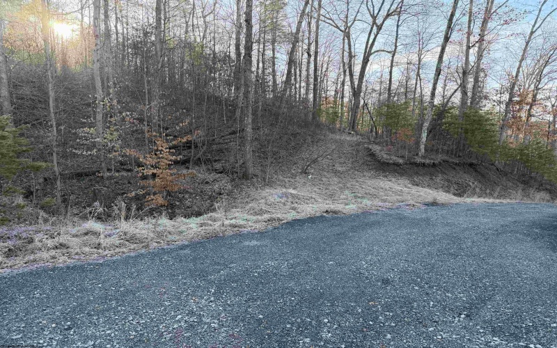 796 Bear Run Road, Cairo, West Virginia 26337, 3 Bedrooms Bedrooms, 7 Rooms Rooms,2 BathroomsBathrooms,Single Family Detached,For Sale,Bear Run,10163375