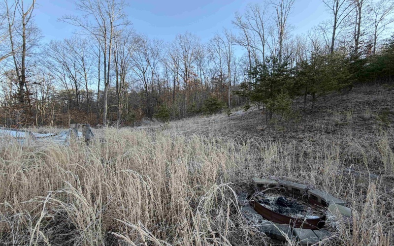 796 Bear Run Road, Cairo, West Virginia 26337, 3 Bedrooms Bedrooms, 7 Rooms Rooms,2 BathroomsBathrooms,Single Family Detached,For Sale,Bear Run,10163375