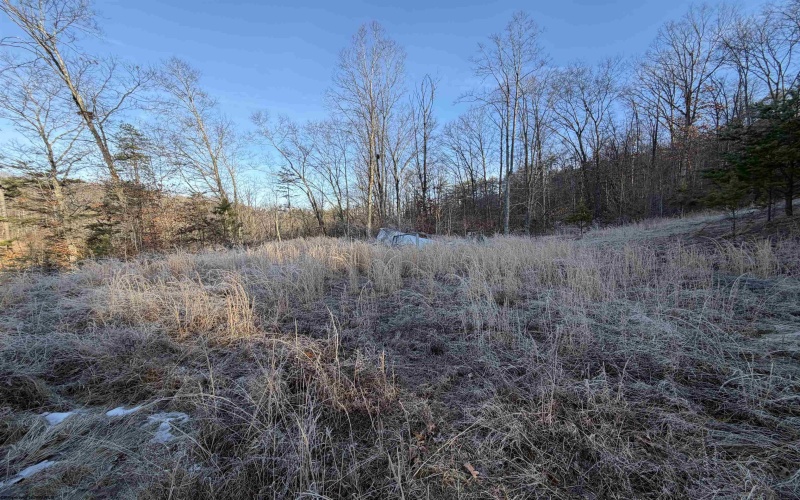 796 Bear Run Road, Cairo, West Virginia 26337, 3 Bedrooms Bedrooms, 7 Rooms Rooms,2 BathroomsBathrooms,Single Family Detached,For Sale,Bear Run,10163375