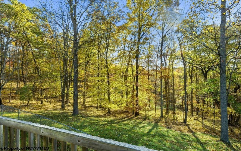 46 Oakridge Lane, Bridgeport, West Virginia 26330-0000, 3 Bedrooms Bedrooms, 6 Rooms Rooms,2 BathroomsBathrooms,Single Family Detached,For Sale,Oakridge,10163372